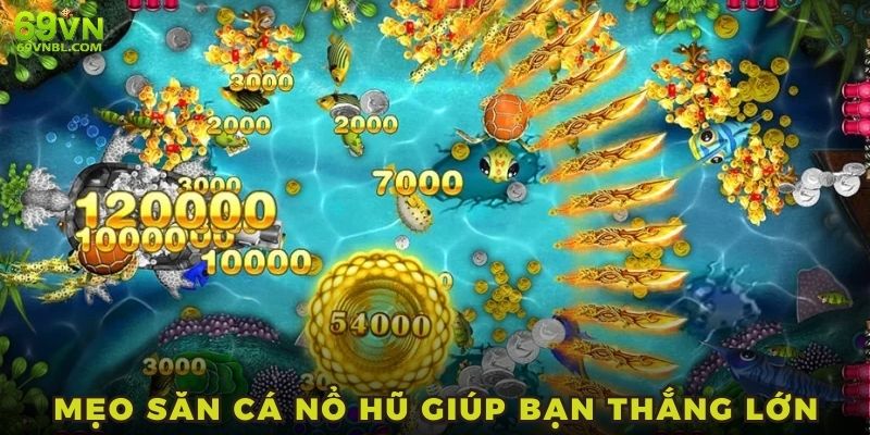 Bật mí chiến thuật giúp bạn trở thành cao thủ ngư trường đổi thưởng