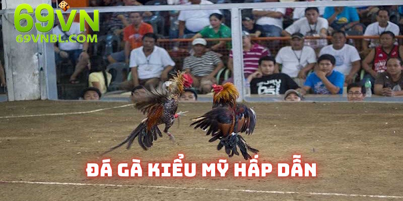Sản phẩm gà đá kiểu Mỹ thu hút khách hàng