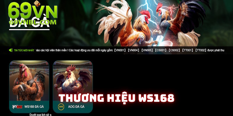 Đá gà 69VN nổi bật khi sánh vai cùng Ws168