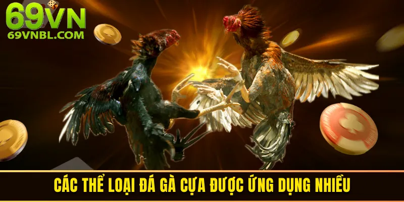 Hình thức đá gà cựa sắt được ưa chuộng trên thi trường