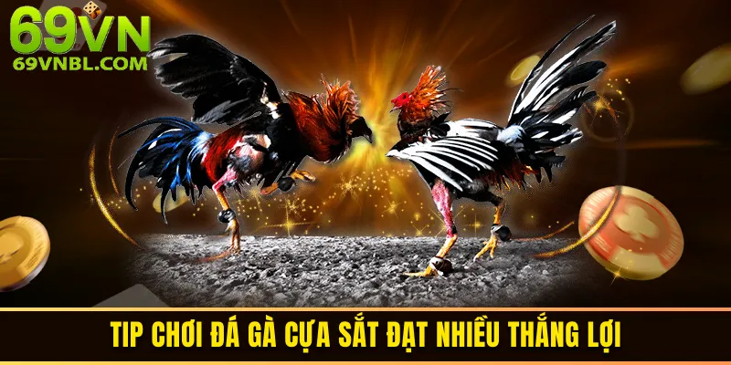 Mẹo chơi đá gà cựa sắt 