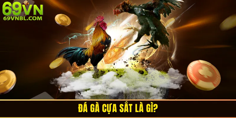 Đá gà cựa sắt là gì?