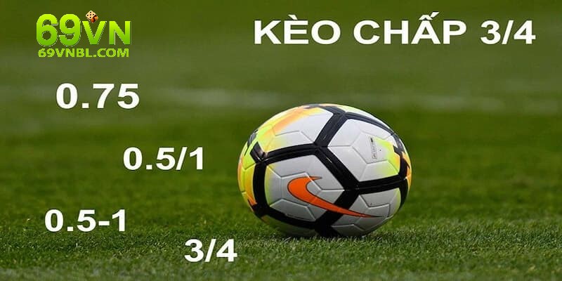 Các loại tỷ lệ kèo 69VN thường thấy nhất